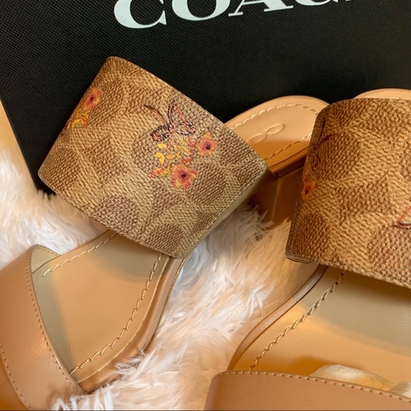 Coach Mae Mule Sig Pra Heel - Picture 7 of 16